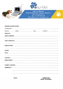 Printuri personalizate - Buletin examen ecografic, 500 file