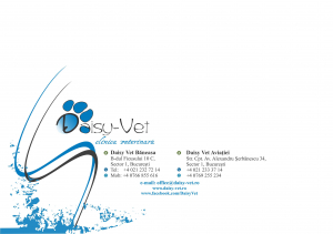 Printuri personalizate - Plicuri personalizate A4, pachet 500 bucati