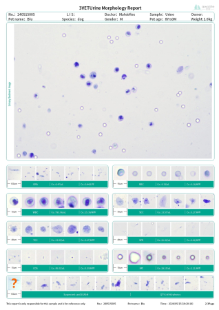 Multifunctional morphological analyzer Blood / Urine /  Fluide AI-100VET ELITE [4]