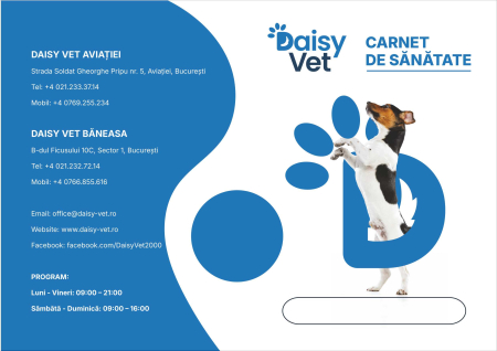 Printuri personalizate - Carnete sanatate caini, set 100 bucati, cu cod unic, PERSONALIZATE
