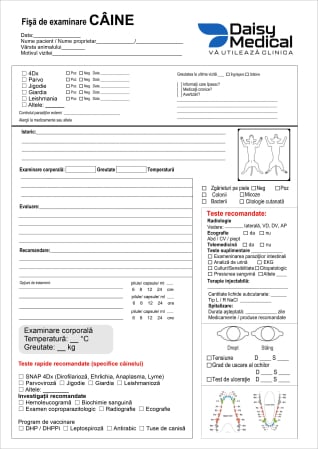 Printings - SET 100 bucati Fisa de examinare CAINE, A4