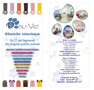 Printuri personalizate - Flyere 1/3 din A4, pachet 1000 bucati