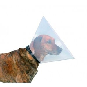 Transparent e-collar for dogs NECKY [1]