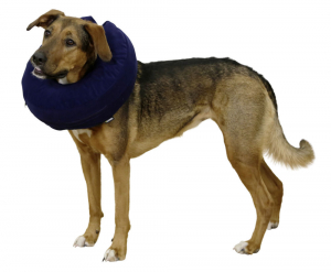 Guler gonflabil pentru animale, circumf. 18-30 cm, 80834 [1]