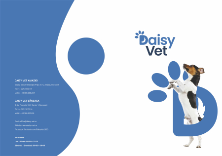 Mape personalizate, pachet 50 de bucati