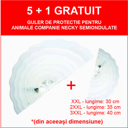 Gulere medicale - PACHET gulere Genia 5+1 2XXL - lungime 35 cm