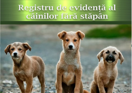 Registre veterinare - Registru de evidenta al cainilor fara stapan, dimensiune A4