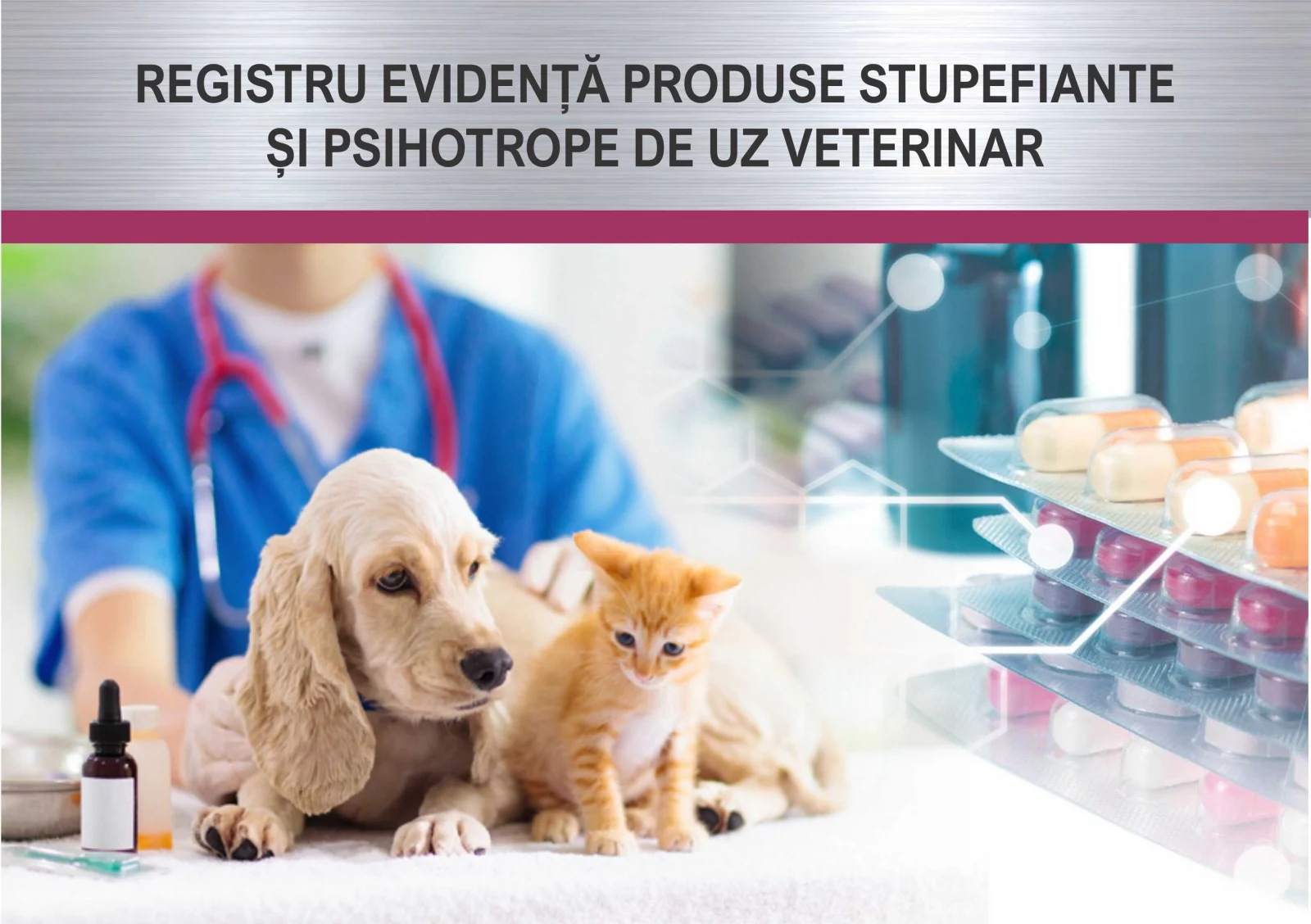 Printings - Registru produse stupefiante si psihotrope de uz veterinar, 50 file