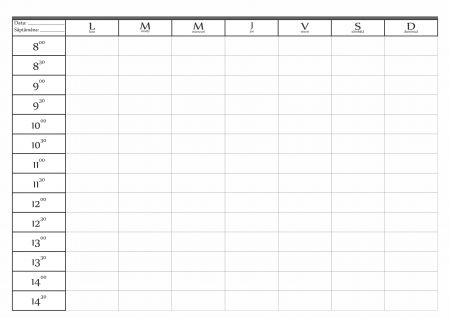 Registru programari cabinet [1]