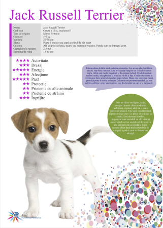 SET 13 POSTERE rase caini 32 x 45 cm [7]