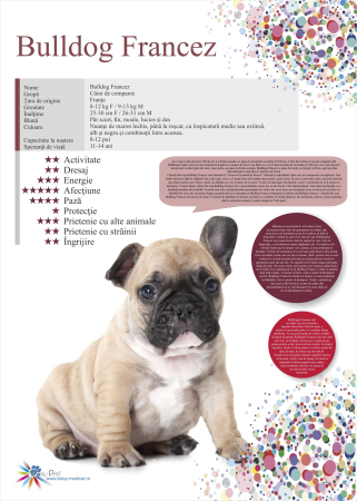 SET 13 POSTERE rase caini 32 x 45 cm [3]