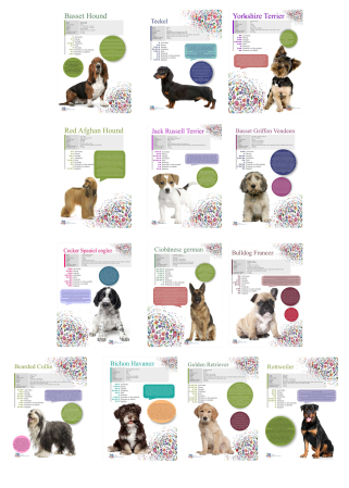 Printings - SET 13 POSTERE rase caini 32 x 45 cm