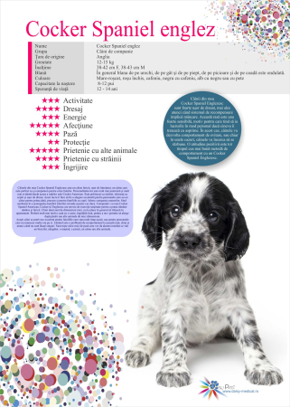 SET 13 POSTERE rase caini 32 x 45 cm [5]