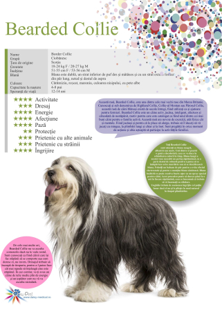 SET 13 POSTERE rase caini 32 x 45 cm [2]