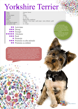 SET 13 POSTERE rase caini 32 x 45 cm [9]