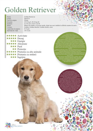 SET 13 POSTERE rase caini 32 x 45 cm [6]