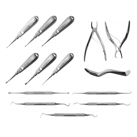 Stomatologie - Set instrumentar dentar uz veterinar 14 piese/set DSY-D2358