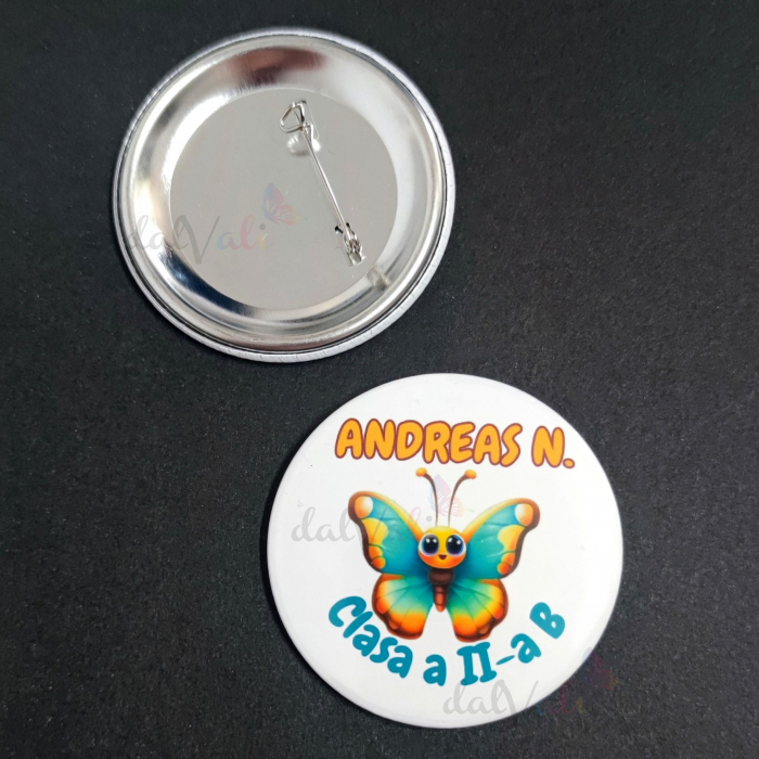 Insigna Clasa/Grupa Fluturasilor-Model 1 [2]