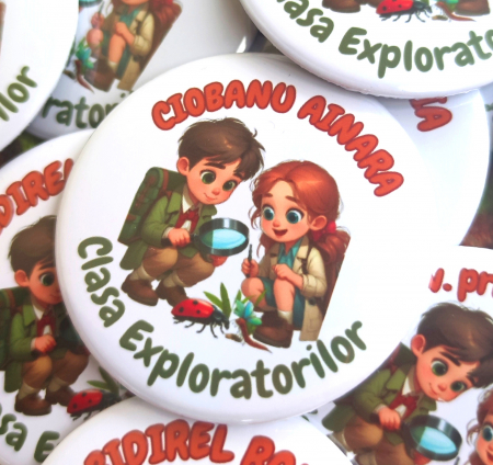 INSIGNE - Insigna Clasa/Grupa Exploratorilor