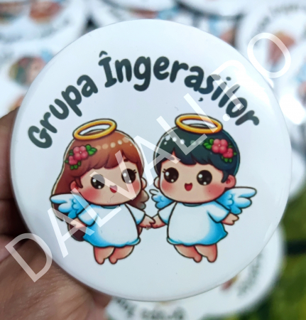 INSIGNE - Insigna Clasa/Grupa Ingerasilor