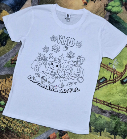 Tricou educativ de colorat Saptamana Altfel Toamna Buburuza 2 [1]