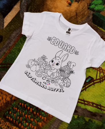 TRICOURI DE COLORAT SI ACCESORII - Tricou educativ de colorat Saptamana Altfel Toamna Iepuras 1