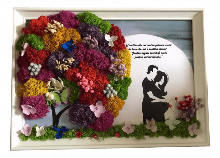 Tablou cu licheni familie [1]