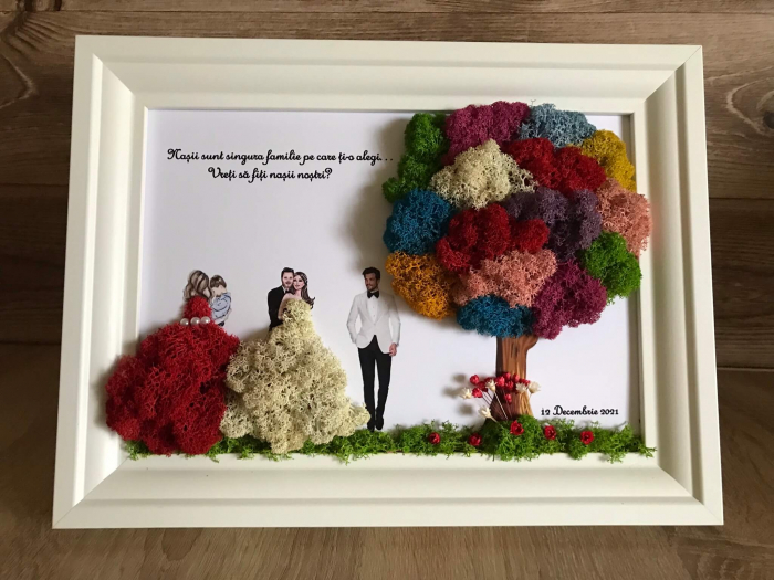 Tablou cu licheni nasi si fini [2]