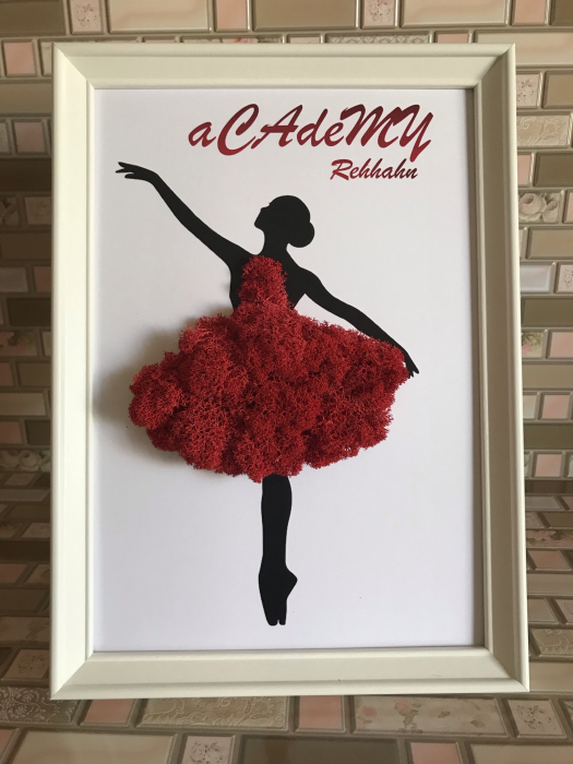 Tablou cu licheni Balerina [2]