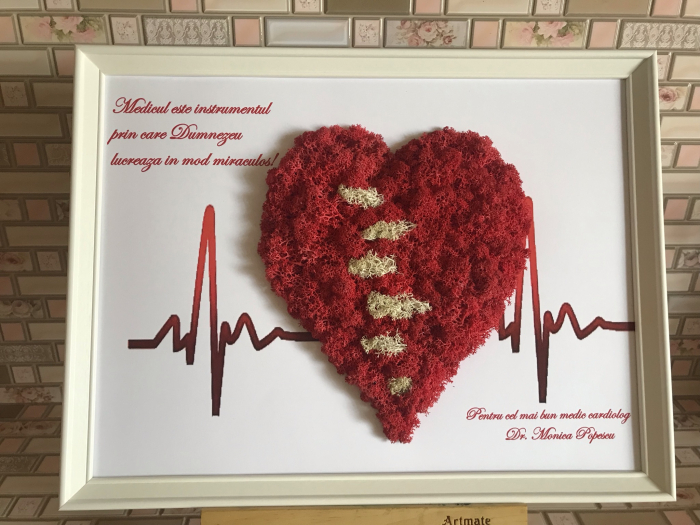 Tablou cu licheni cadru medical [2]