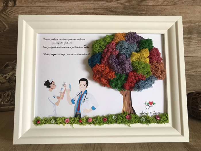 Tablou cu licheni cadru medical [2]