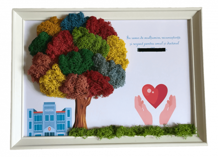 Tablou cu licheni cadru medical [1]
