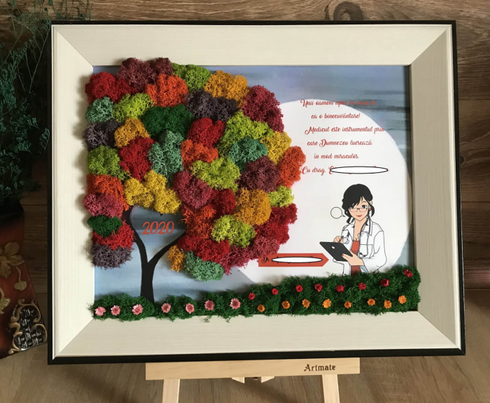 Tablou cu licheni medic [2]