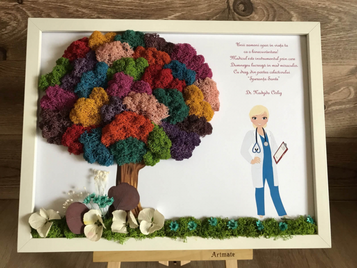 Tablou cu licheni Doctora [2]