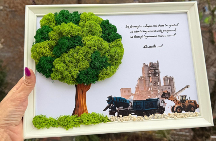 Tablou cu licheni Lider [2]