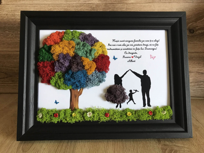 Tablou cu licheni nasi si fini [2]