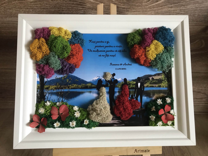 Tablou cu licheni nasi si fini [2]
