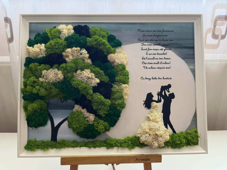 Tablou cu licheni nasa [1]