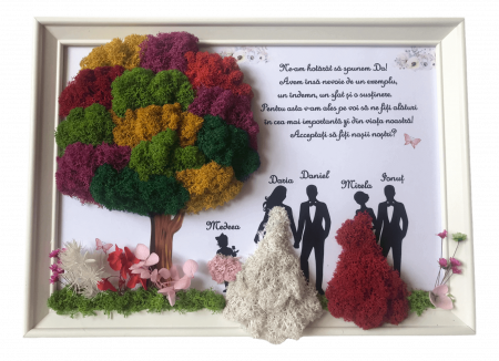 Tablouri cu licheni pentru Nasi si Fini - Tablou cu licheni nasi si fini
