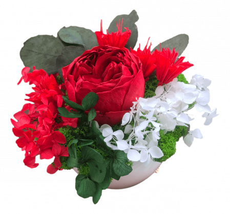 Aranjamente cu licheni si flori criogenate - Aranjament floral cu licheni si flori uscate