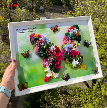 Tablou cu licheni fluture [1]