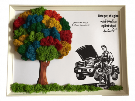 Tablou licheni pentru Barbati - Tablou cu licheni mecanic auto