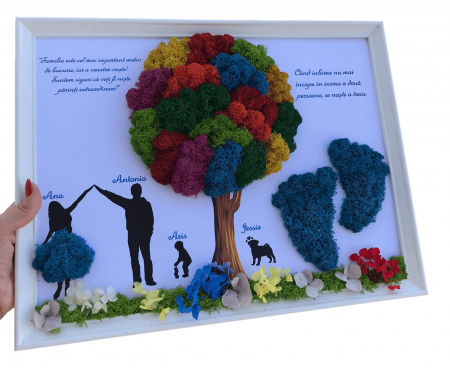 Tablouri cu licheni pentru Nasi si Fini - Tablou cu licheni familie