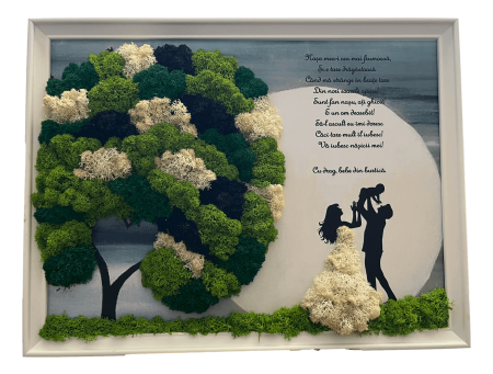 Tablouri - Tablou cu licheni nasa