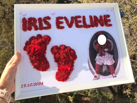 Tablou cu nume din licheni [1]