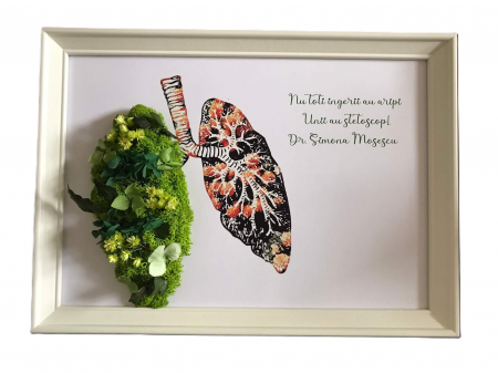 Tablou cu licheni cadru medical - Tabou plaman verde