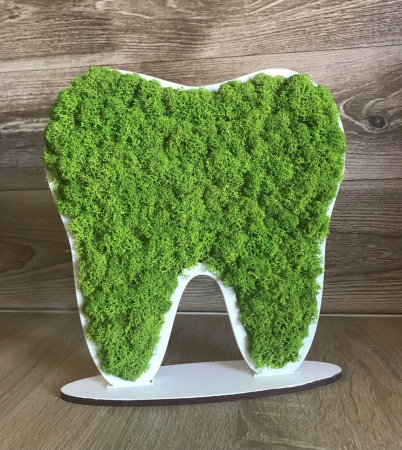 Dinte 3D cu licheni [1]