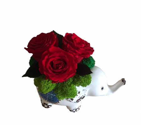 Aranjamente in vase ceramice - Aranjament floral cu licheni Elefant