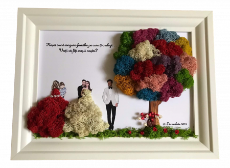 Tablouri cu licheni pentru Nasi si Fini - Tablou cu licheni nasi si fini