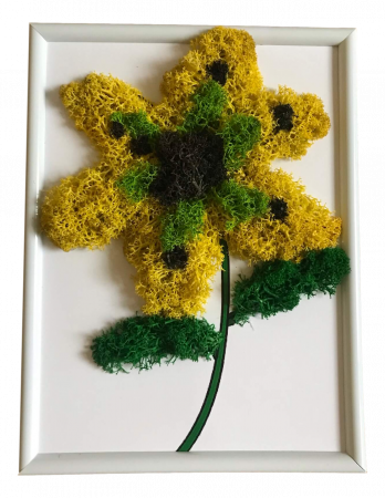 Tablou 15/20 - Tablou licheni floare